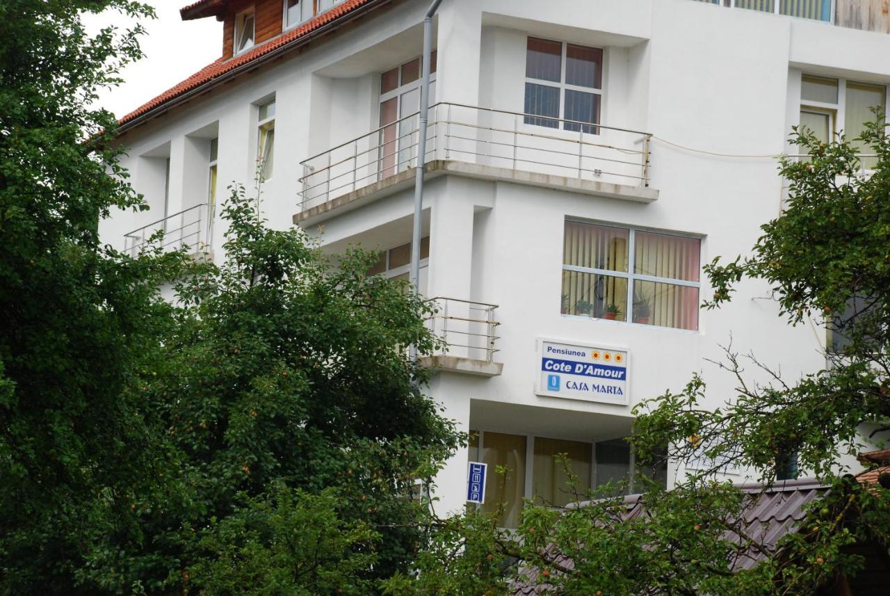 Pension Cote D'Amour Moieciu de Jos Luaran gambar