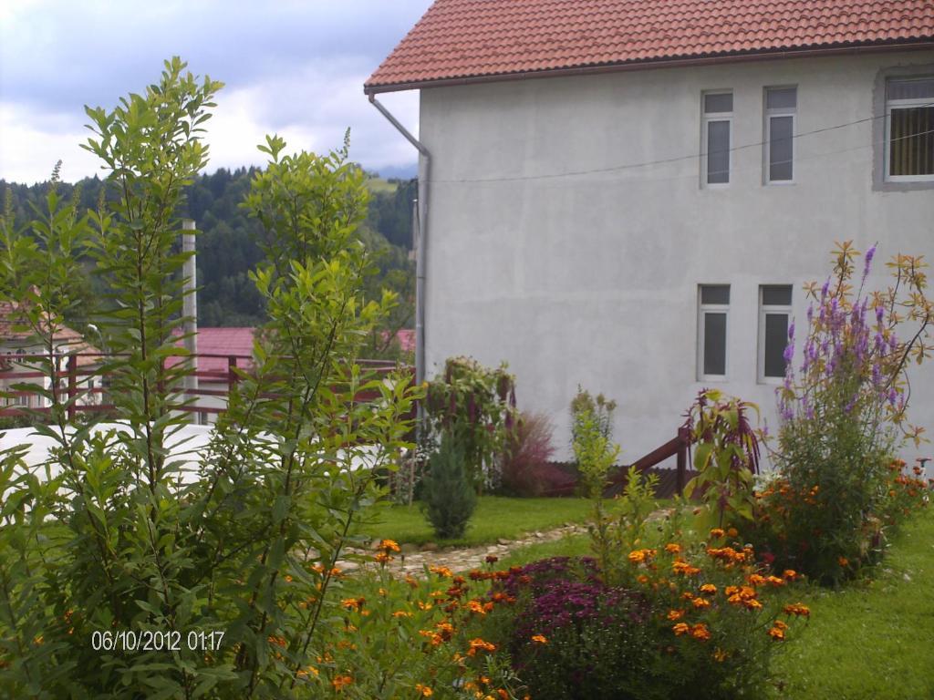 Pension Cote D'Amour Moieciu de Jos Luaran gambar